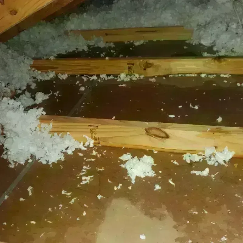 Attic Water Damage in Branford, CT